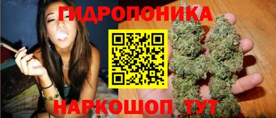 мяу мяу мука Новокубанск