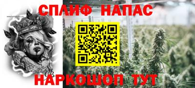 дживик Новозыбков
