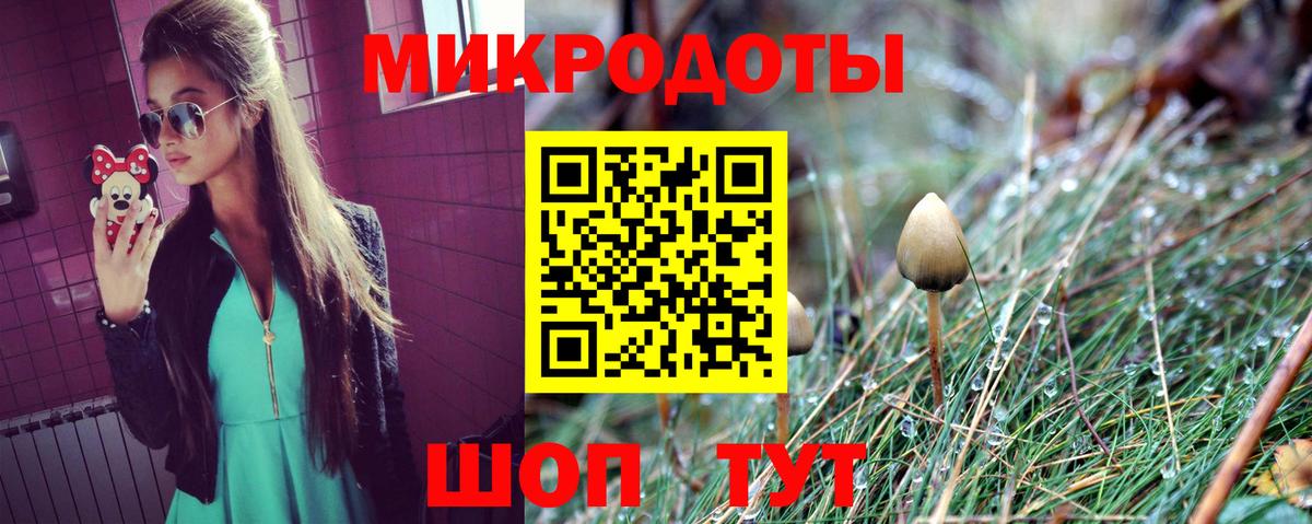 Галлюциногенные грибы Psilocybe  Вход с VPN  Славянск-на-Кубани 