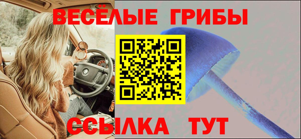 Галлюциногенные грибы Psilocybine cubensis Славянск-на-Кубани